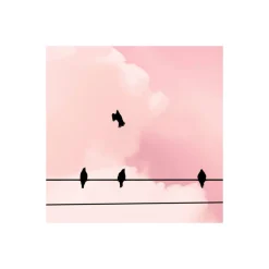 Komar  Vlies Fototapete Cloud Wire 400x250 cm