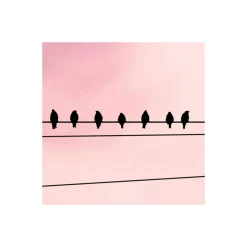 Komar  Vlies Fototapete Cloud Wire 400x250 cm