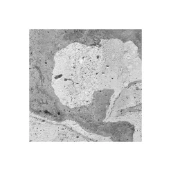 Komar  Vlies Fototapete Concrete World 500x250 cm