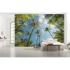 Komar  Vlies Fototapete Coconut Heaven 450x280 cm