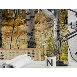 Komar  Vlies Fototapete Colorful Aspenwoods 450x280 cm