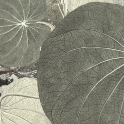 Komar  Vlies Fototapete Creation 300x280 cm