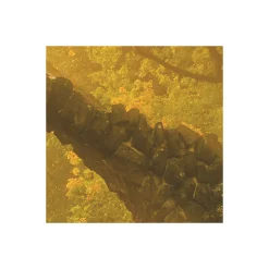 Komar  Vlies Fototapete Devil's Bridge 400x250 cm