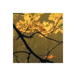 Komar  Vlies Fototapete Devil's Bridge 400x250 cm