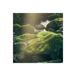 Komar  Vlies Fototapete Divine 200x250 cm