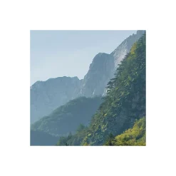 Komar  Vlies Fototapete Elbenpforte 450x280 cm