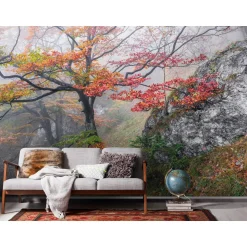 Komar  Vlies Fototapete Euphoria 300x200 cm