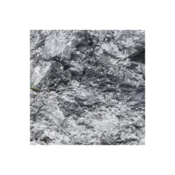 Komar  Vlies Fototapete Euphoria 300x200 cm