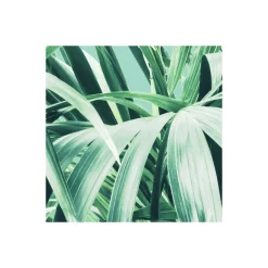 Komar  Vlies Fototapete Evergreen 200x250 cm