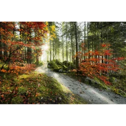 Komar  Vlies Fototapete Feuerzungen 450x280 cm