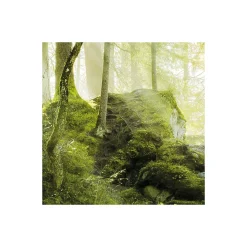 Komar  Vlies Fototapete Feuerzungen 450x280 cm