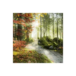 Komar  Vlies Fototapete Feuerzungen 450x280 cm