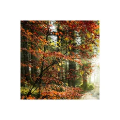 Komar  Vlies Fototapete Feuerzungen 450x280 cm