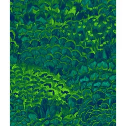 Komar  Vlies Fototapete Feathers 200x250 cm