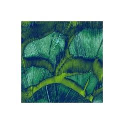 Komar  Vlies Fototapete Feathers 200x250 cm