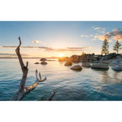 Komar  Vlies Fototapete Final Light 450x280 cm