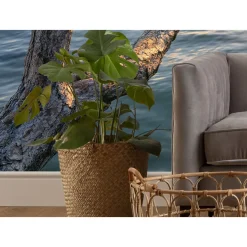 Komar  Vlies Fototapete Final Light 450x280 cm