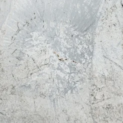 Komar  Vlies Fototapete Flower Fossil 200x280 cm