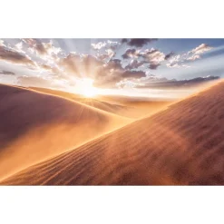 Komar  Vlies Fototapete Gently Touched 400x250 cm