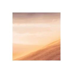 Komar  Vlies Fototapete Gently Touched 400x250 cm