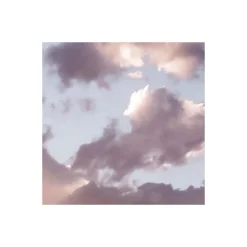 Komar  Vlies Fototapete Gently Touched 400x250 cm