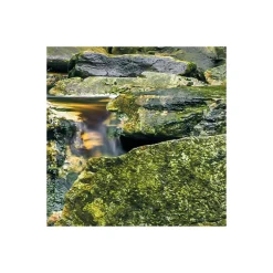 Komar  Vlies Fototapete Glenevin Falls 200x250 cm