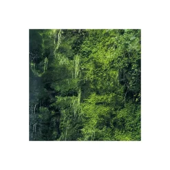 Komar  Vlies Fototapete Glenevin Falls 200x250 cm