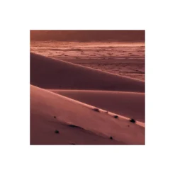 Komar  Vlies Fototapete God Rays 200x250 cm