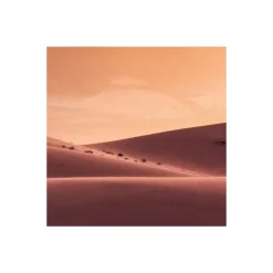 Komar  Vlies Fototapete God Rays 200x250 cm