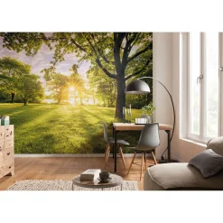 Komar  Vlies Fototapete Golden Moment 400x250 cm