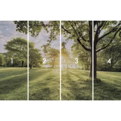 Komar  Vlies Fototapete Golden Moment 400x250 cm