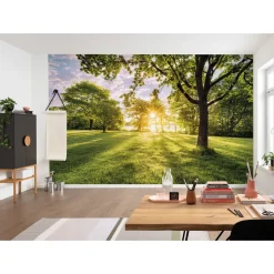 Komar  Vlies Fototapete Golden Moment 400x250 cm