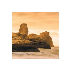 Komar  Vlies Fototapete Golden Stacks 400x250 cm