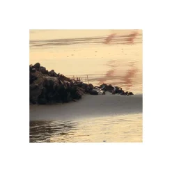 Komar  Vlies Fototapete Golden Gate 400x250 cm