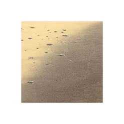 Komar  Vlies Fototapete Golden Gate 400x250 cm