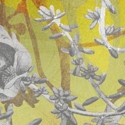 Komar  Vlies Fototapete Golden Sun 200x280 cm