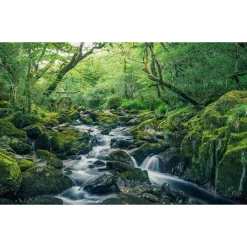 Komar  Vlies Fototapete Green Tales 400x250 cm