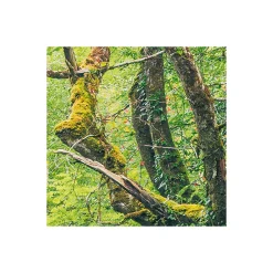 Komar  Vlies Fototapete Green Tales 400x250 cm