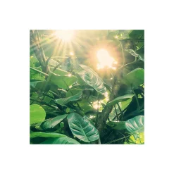 Komar  Vlies Fototapete Green Leaves 450x280 cm