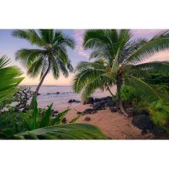 Komar  Vlies Fototapete Hawaiian Dreams 450x280 cm