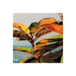 Komar  Vlies Fototapete Heavens Balcony 450x280 cm