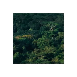 Komar  Vlies Fototapete Heavens Balcony 450x280 cm