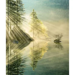 Komar  Vlies Fototapete Indulgence of Beauty 200x250 cm