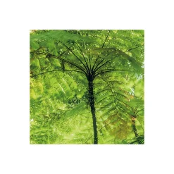 Komar  Vlies Fototapete Into The Jungle 400x250 cm