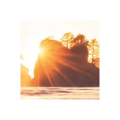 Komar  Vlies Fototapete Island Dreaming 200x250 cm