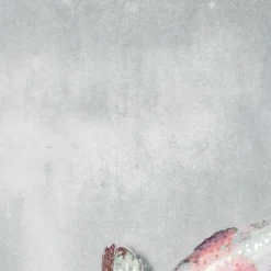 Komar  Vlies Fototapete Koi 300x280 cm