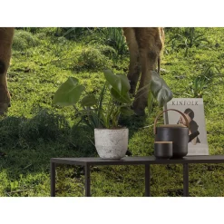 Komar  Vlies Fototapete Kuhparadies 450x280 cm