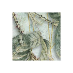 Komar  Vlies Fototapete La Rosa 200x250 cm