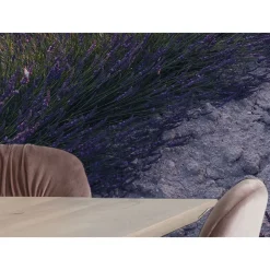 Komar  Vlies Fototapete Lavender Dream 450x280 cm