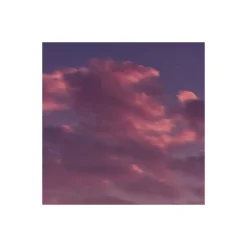 Komar  Vlies Fototapete Lavender Dream 450x280 cm